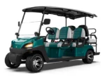 Premium EV 6 Seater Golf Cart G Model