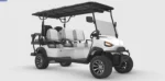 Premium EV 6 Seater Golf Cart 6S Plus - Image 2